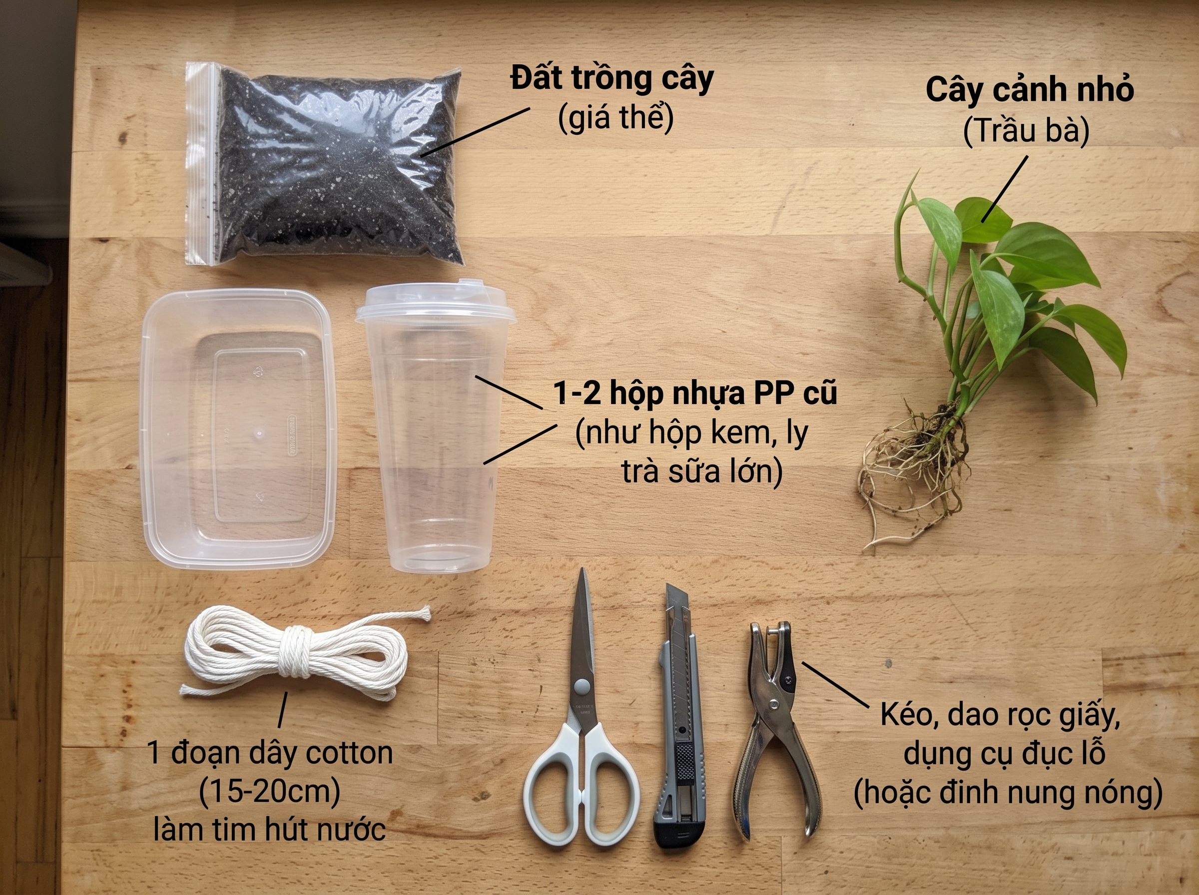 Các nguyên vật liệu cần chuẩn bị để làm chậu cây tự tưới từ nhựa PP